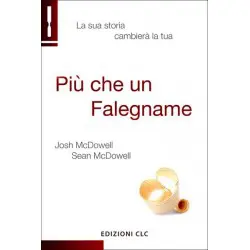 Più che un falegname