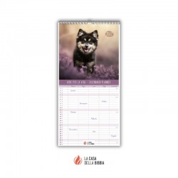 Calendario planner cristiano da parete 2027 - Amici per la vita