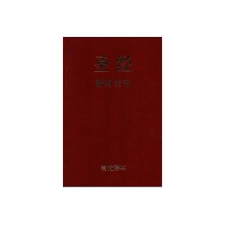 Il Nuovo Testamento in Cinese