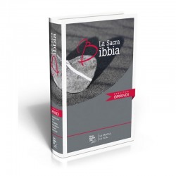 Bibbia N.R. 14x21 cm caratteri grandi rilegata rigida illustrata colore grigio Nuova Edizione