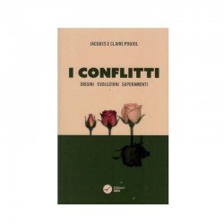 I conflitti