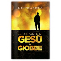 Le risposte di Gesù a Giobbe