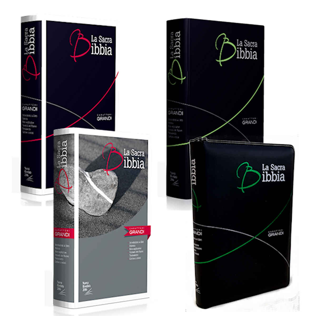 Bibbie con caratteri grandi in 4 formati