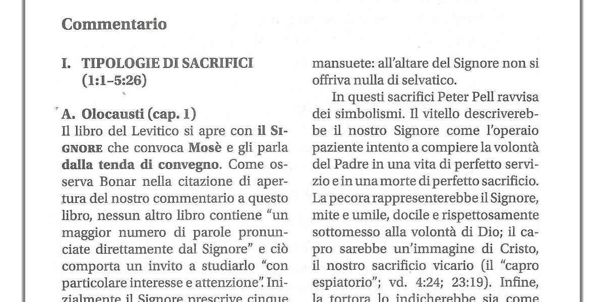 CONCORDANZA