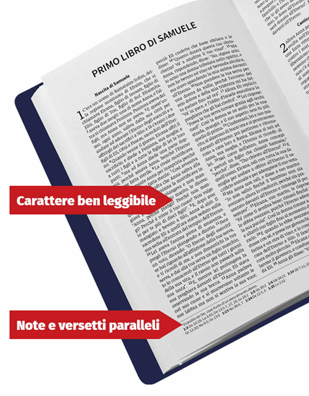 vista_pagina_interna_r2 LP