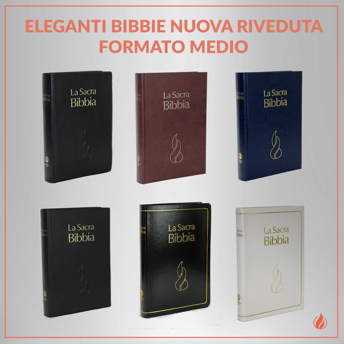 bibbie nuova roveduta formato medio