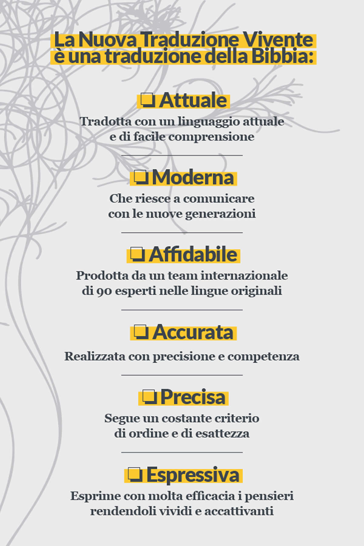 content_01_newsletter_ntvi_01_rid contenuto newsletter ntvi lancio