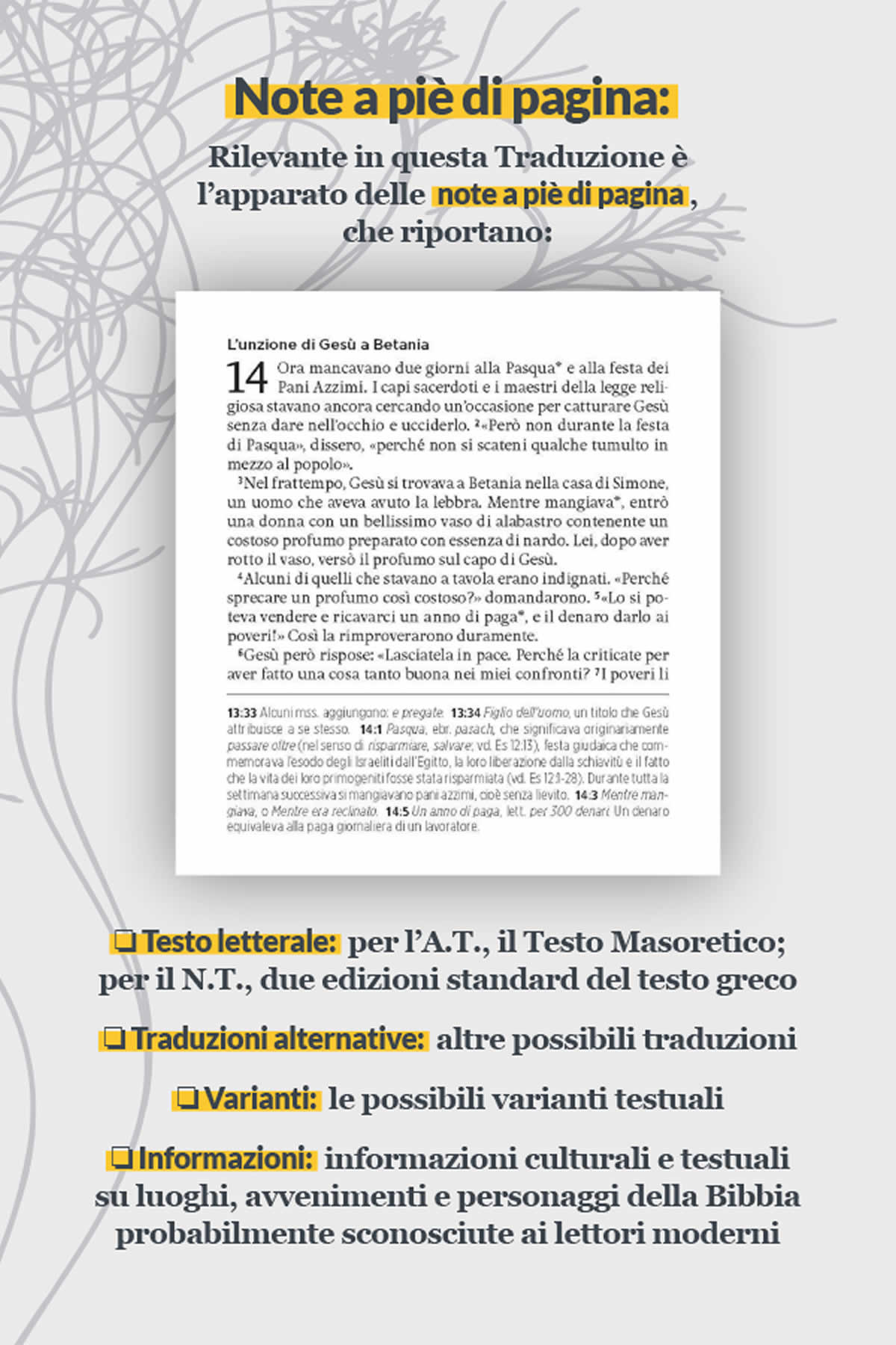 content_02_newsletter_ntvi_01_rid note a pie di pagina nuovo testamento ntvi
